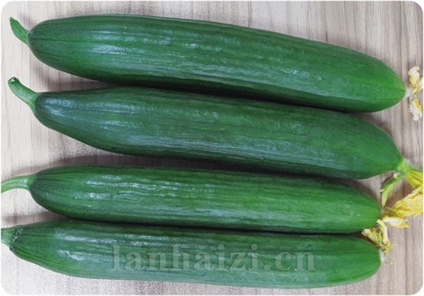 欧罗巴三号