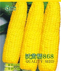鲜食玉米种子——沃黄糯868