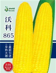 鲜食玉米种子——沃科865