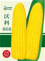 鲜食玉米种子——沃科868