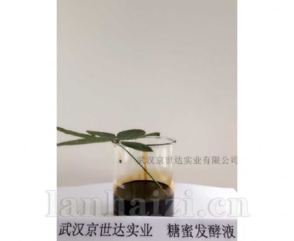 糖蜜发酵液