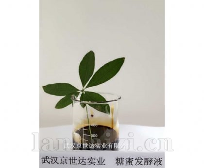 糖蜜发酵液