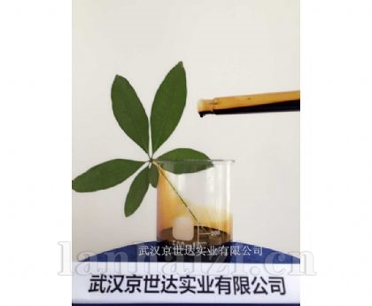 糖蜜发酵液