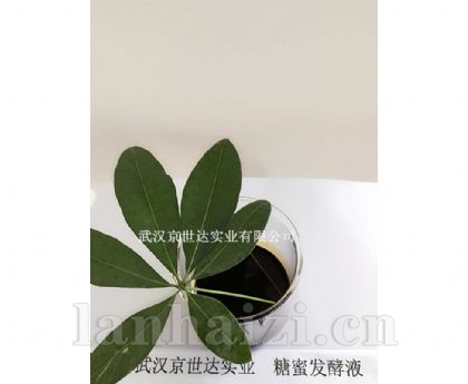 糖蜜发酵液