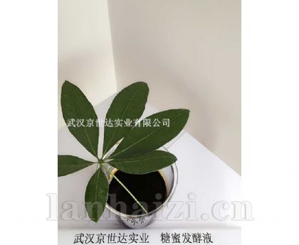 糖蜜发酵液
