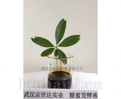 糖蜜发酵液