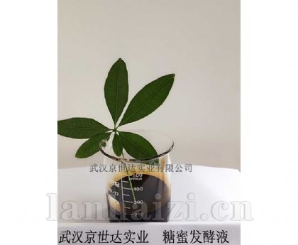 糖蜜发酵液