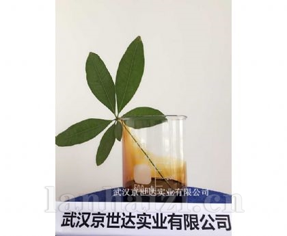 糖蜜发酵液