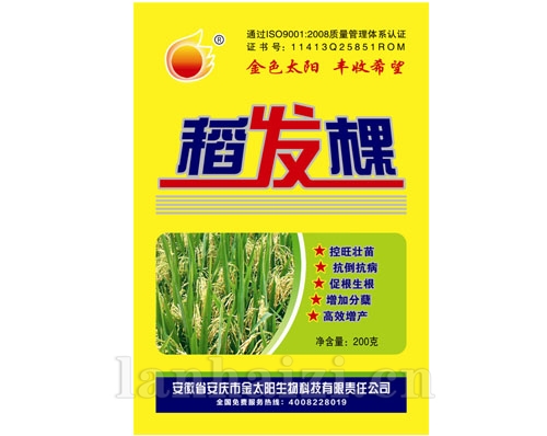 稻发棵