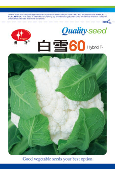 白雪60-花椰菜种子