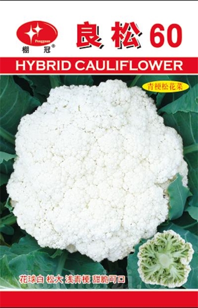 良松60——花椰菜类
