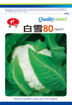 白雪80-花椰菜种子