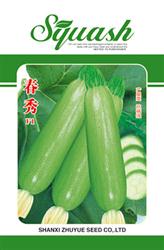 春秀——鲜食西葫芦