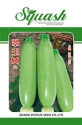 翠玉88——鲜食西葫芦