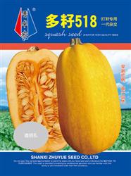 多籽518——籽用西葫芦