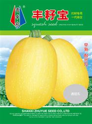 丰籽宝——籽用西葫芦