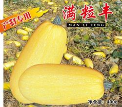 满粒丰——籽用西葫芦