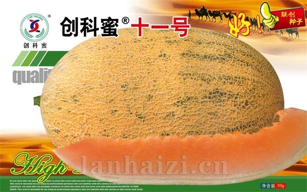 创科蜜十一号