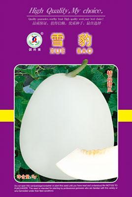 雪豹