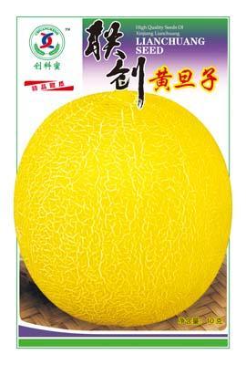 黄旦子