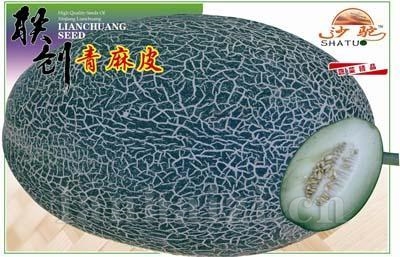 青麻皮