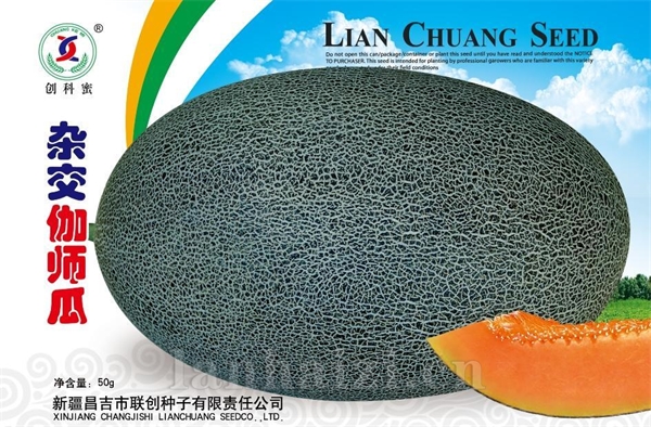 杂交伽师瓜