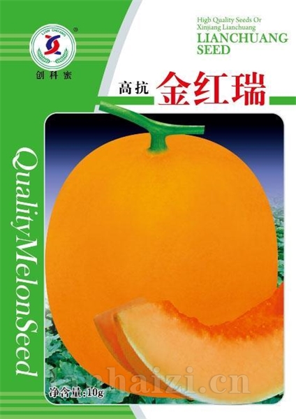 金红瑞