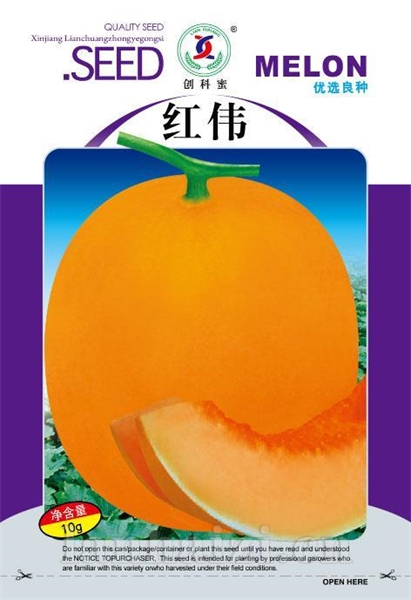 红伟