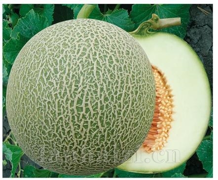 翡翠蜜