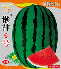 懒神6号