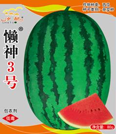 懒神3号