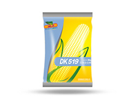 迪卡519