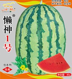 懒神1号