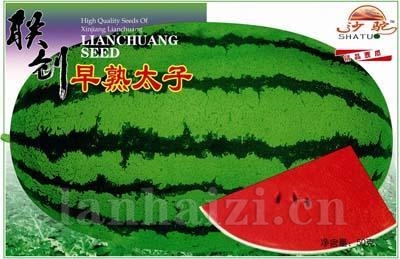 早熟太子