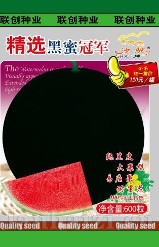 黑蜜冠军