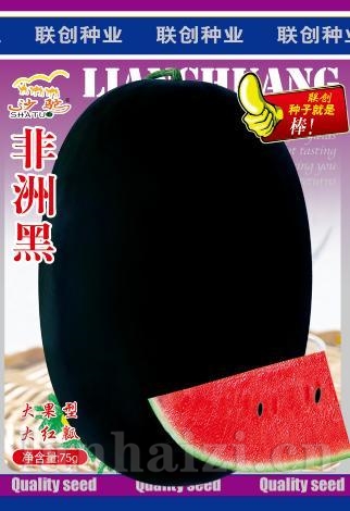 非洲黑