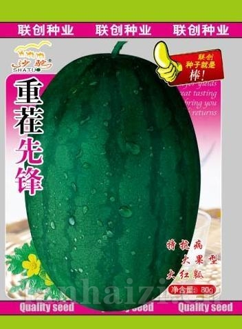 重茬先锋