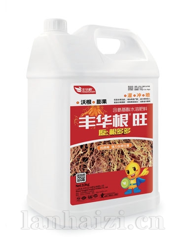 抗腐根多多壶签