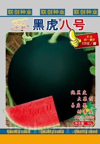 黑虎8号