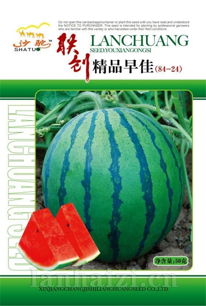 精品84-24