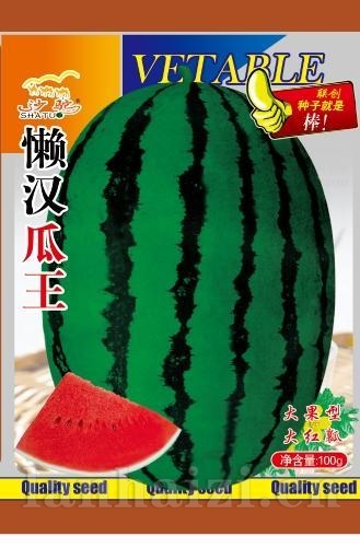 懒汉瓜王