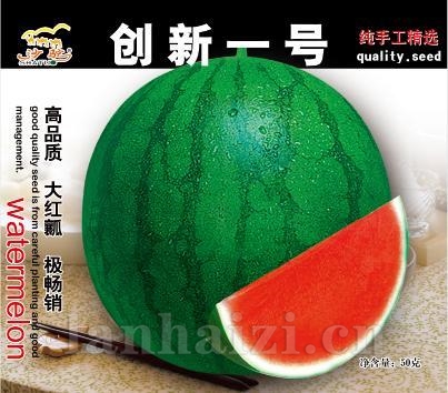 创新新一号