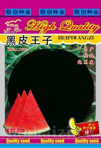 黑皮王子
