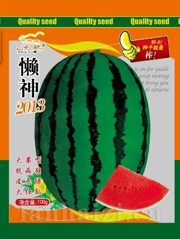 懒神