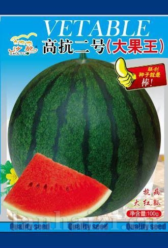 高抗二号