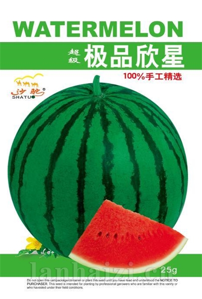 极品欣星