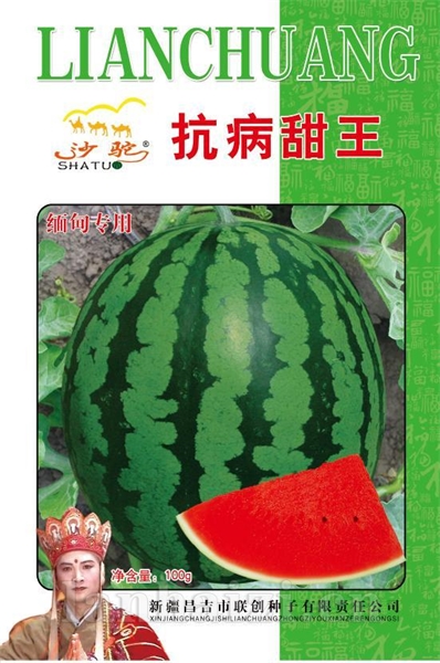 抗病甜王