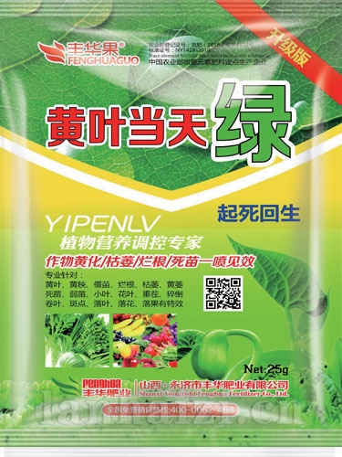 黄叶当天绿-25ml