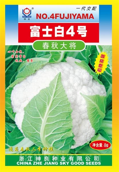 富士白4号--富士白系列白花菜