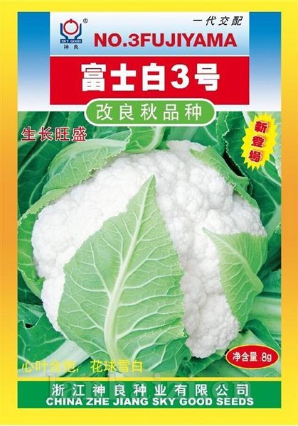 富士白3号--富士白系列白花菜